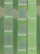 Shinwa Auction シンワオークション【公式】