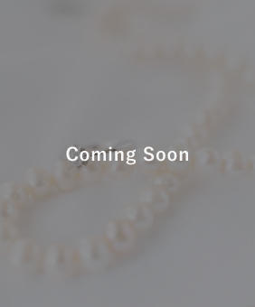 【2026年4月】Bags/Jewellery & Watches オークション